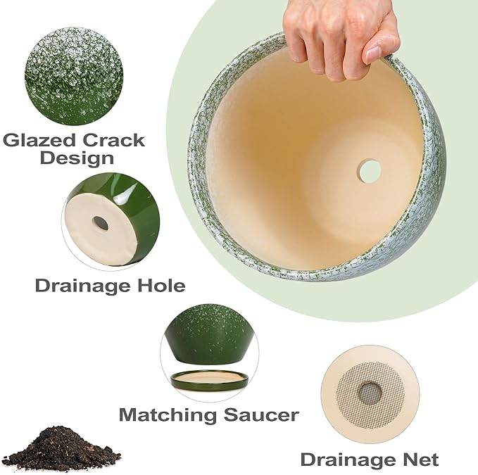 10 Inch Plant Pot - Image 6