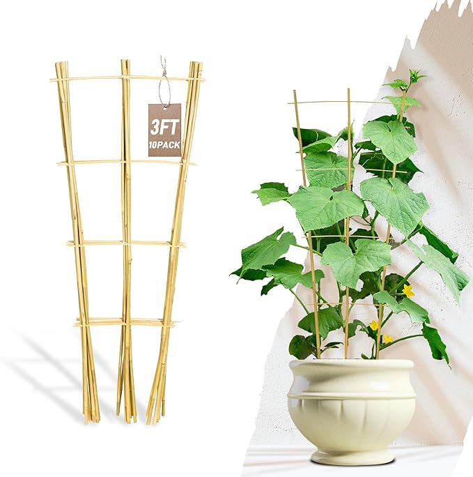 Avalution 10 Pack Bamboo Trellis by Avalution