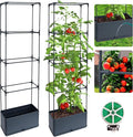 2 Packs Raised Garden Bed Tomato Planter Box by Biotolot