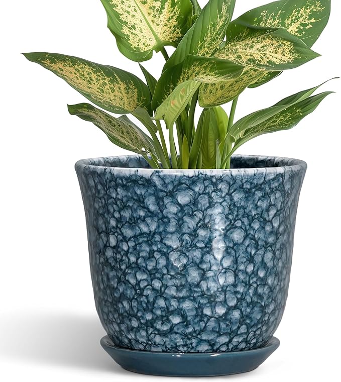 Ceramic Pots for Plants by SUNPOTFOR
