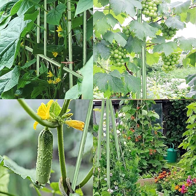 7Feet Garden Stakes Sturdy Plant Sticks Support Tomato Stakes - Image 2