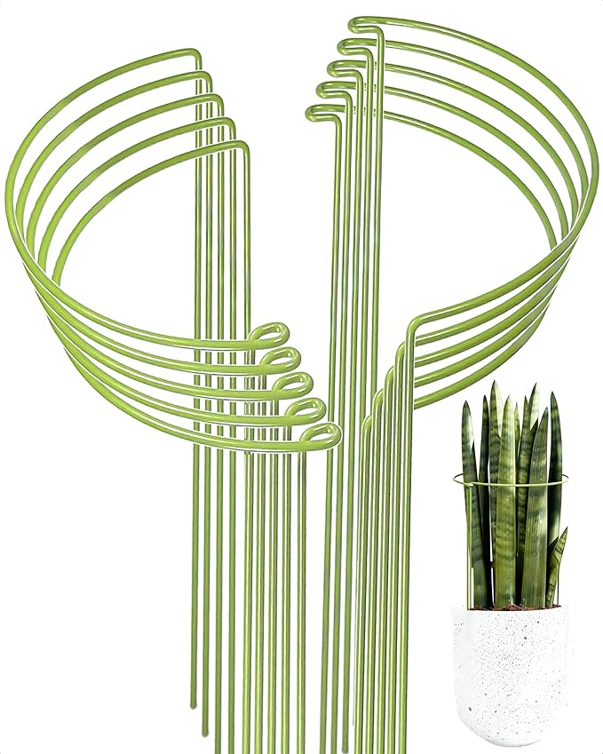 10-Pack Plant Support Stakes, Heavy Duty Steel Plant Stakes as Monstera Plant by Unknown