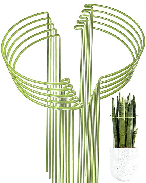 10-Pack Plant Support Stakes, Heavy Duty Steel Plant Stakes as Monstera Plant by Unknown