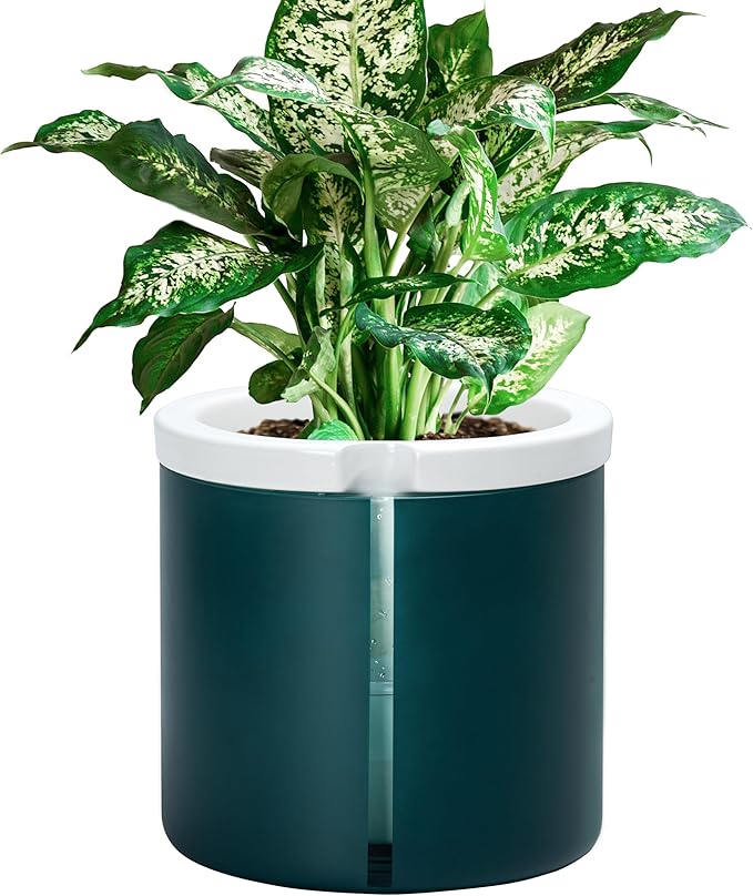 D'vine Dev 8 Inch Design Self Watering Planter by DvineDevPlanterPotsandStand