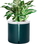 D'vine Dev 8 Inch Design Self Watering Planter by DvineDevPlanterPotsandStand