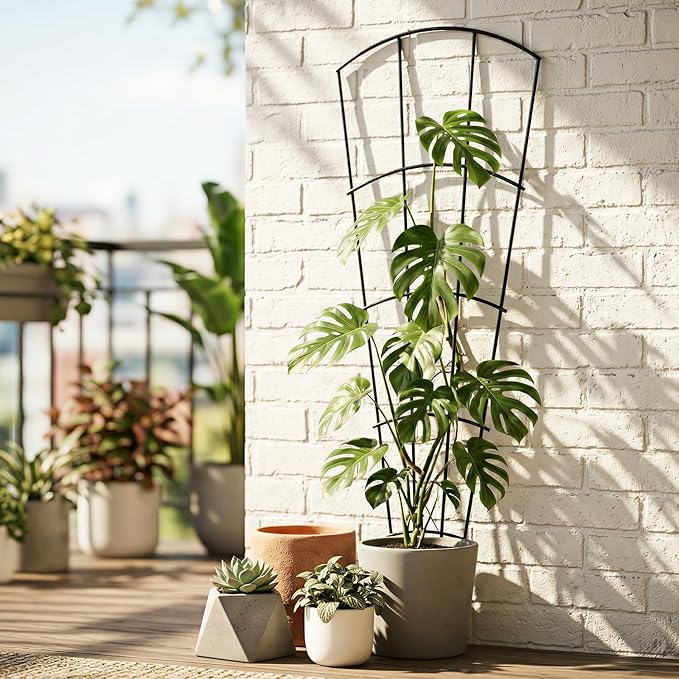 4 Pack 56'' Indoor Plant Trellis - Image 3