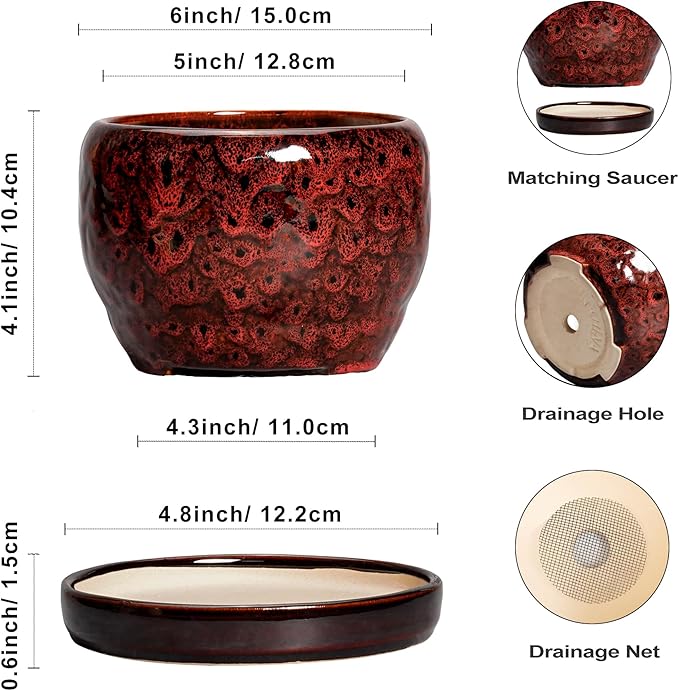SQOWL Ceramic Pot for Plants - Image 3