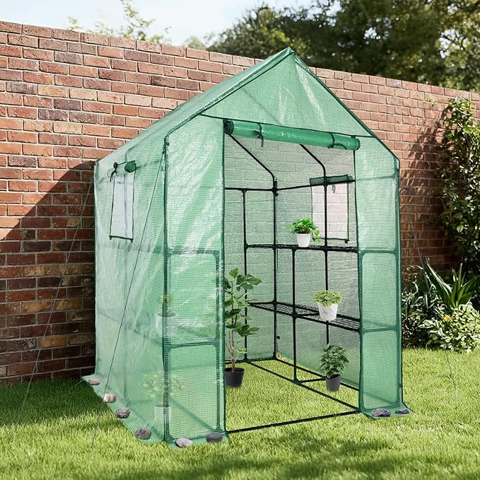 Aoodor Walk-in Greenhouse with 8 Shelves, 4.7 × 4.7 × 6.4 ft Outdoor Garden - Image 7