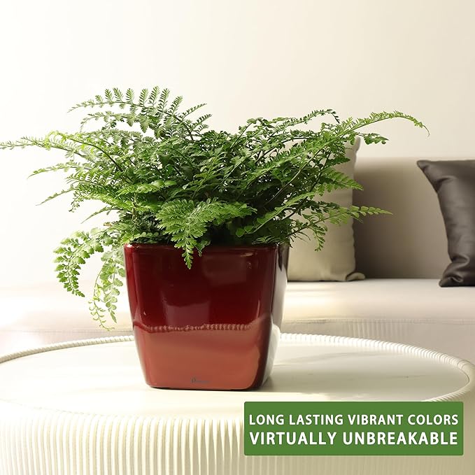 Dexceder 11x10 Self Watering Planter Indoor Outdoor, Inner Mat Design, - Image 6