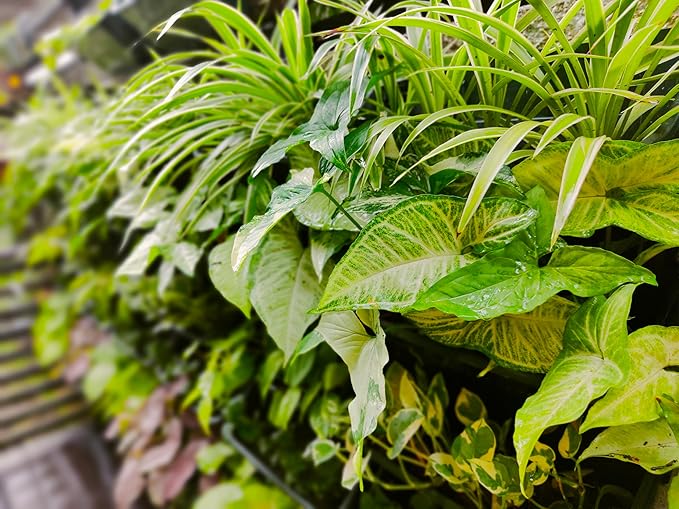 Maxona Black Color Vertical Garden Planter - Image 8