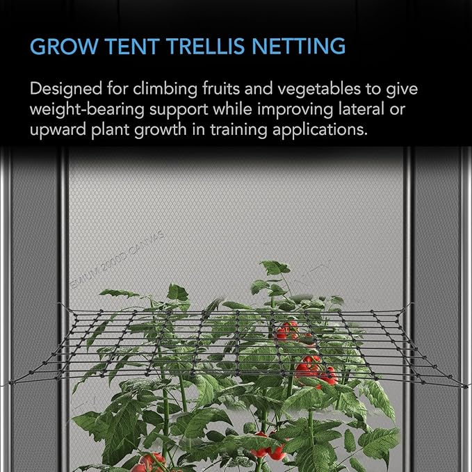 AC Infinity Grow Tent Trellis Netting 2x4', Heavy-Duty Elastic Plant Net - Image 2
