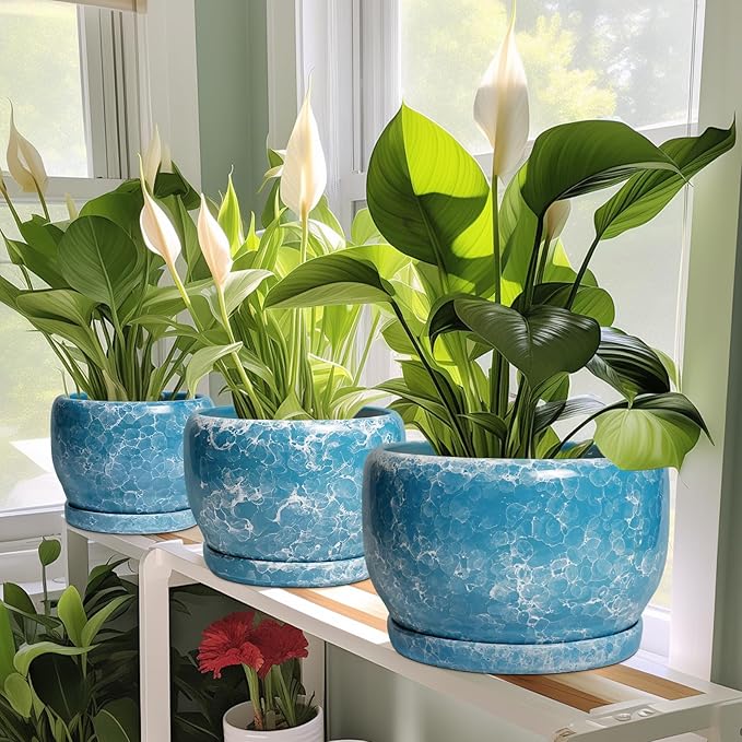 SQOWL 6 Inch Plant Pot - Image 5