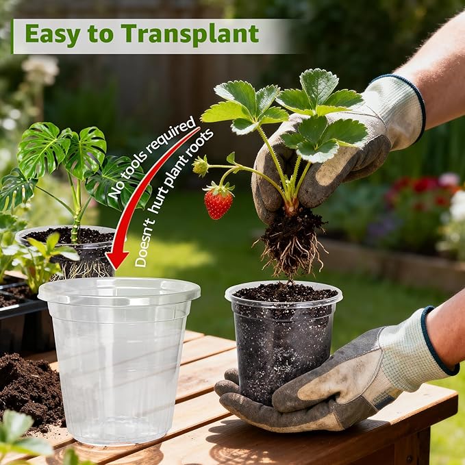 MIXC Clear Nursery Pots with Drainage Holes, 7/5/4 Inch Reinforced Transparent - Image 4