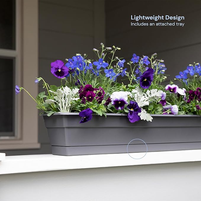 Bloem Dura Cotta Window Box Planter: 24" - Image 2