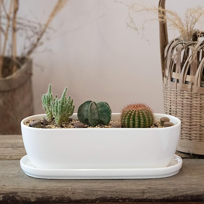 E-liu Oval Ceramic Planter Pot - Image 8