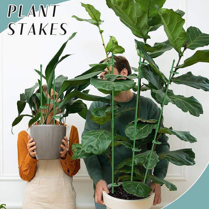 Plant Stakes, Garden Stake Pole - Image 7