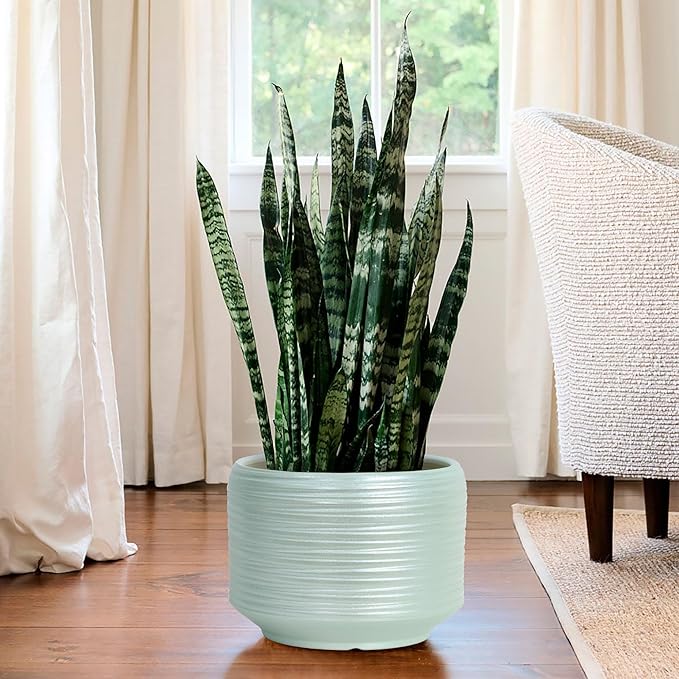 10 Inch Ceramic Plant Pot with Drainage – Large Flower Pot - Image 7