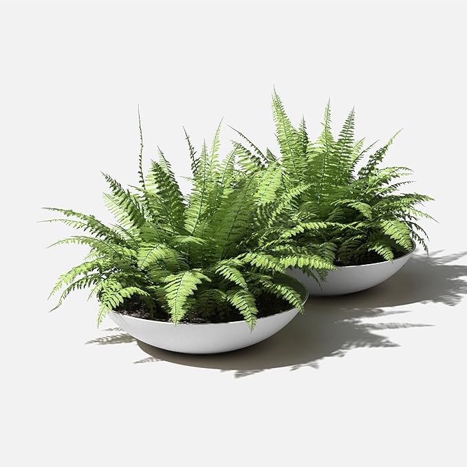 Veradek Mason Series Lane Bowl Planter| - Image 8