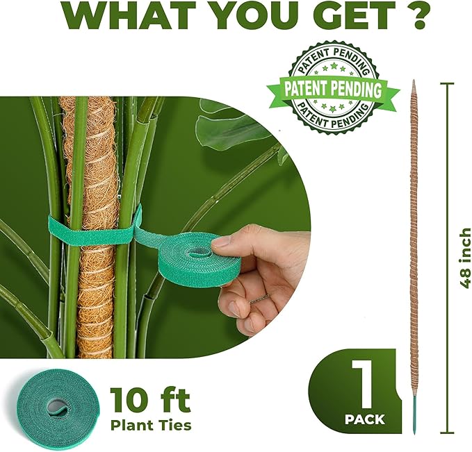 48 Inch Bendable Moss Pole Monstera Plant Support - Image 2