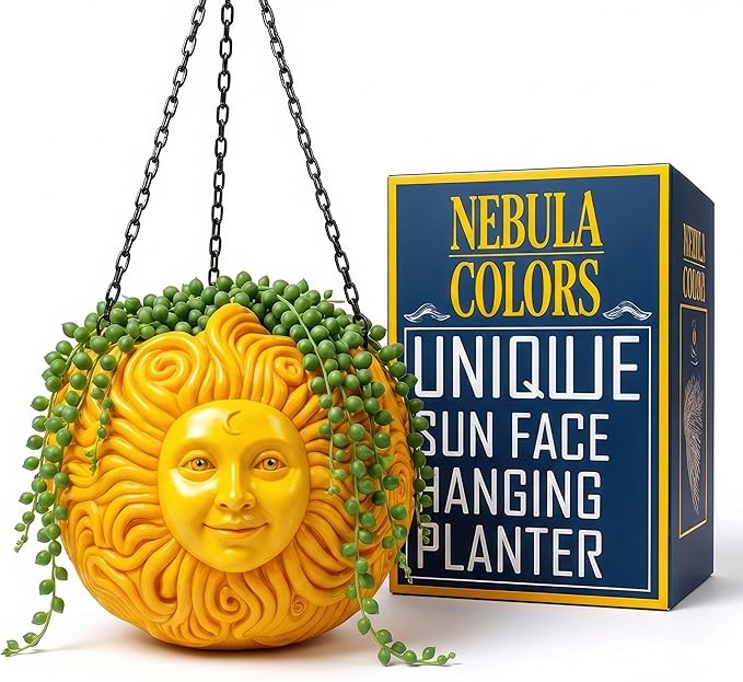 Fun & Unique Sun Face Hanging Planter Quirky Celestial Decor by NebulaColors