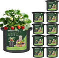 T4U 5 Gallon Grow Bags, Upgrade Grow Bags by T4U