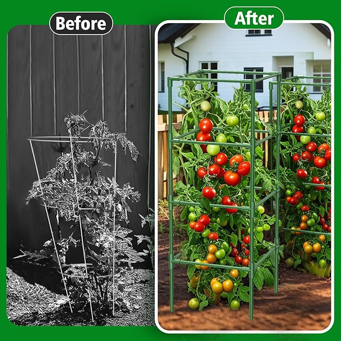 3 Pack Square Tomato Cages for Garden, 42 Inches Heavy Duty Metal Tomatoes - Image 6