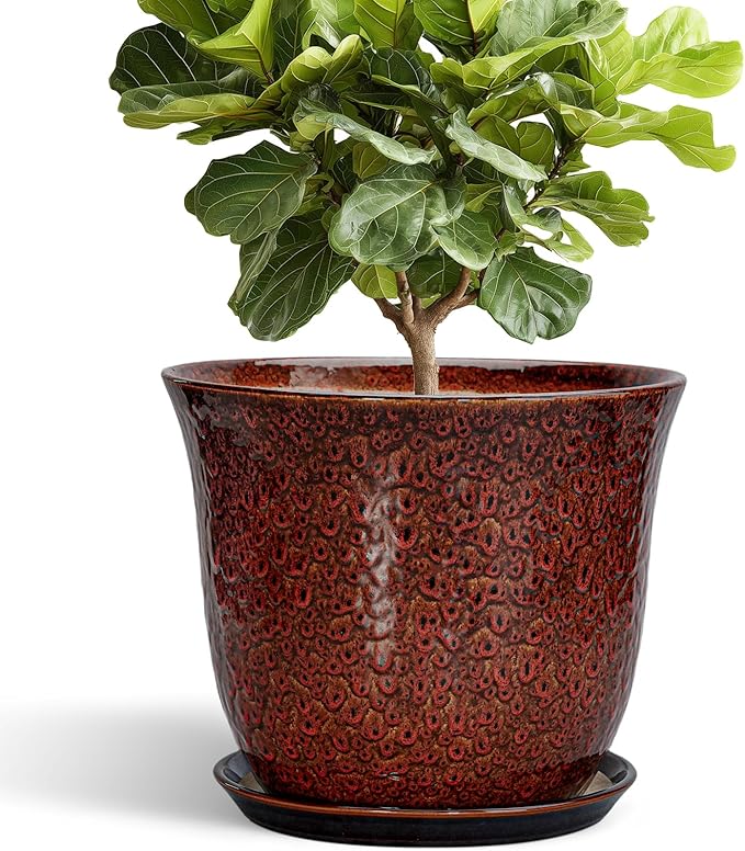 Ceramic Pots for Plants by SUNPOTFOR