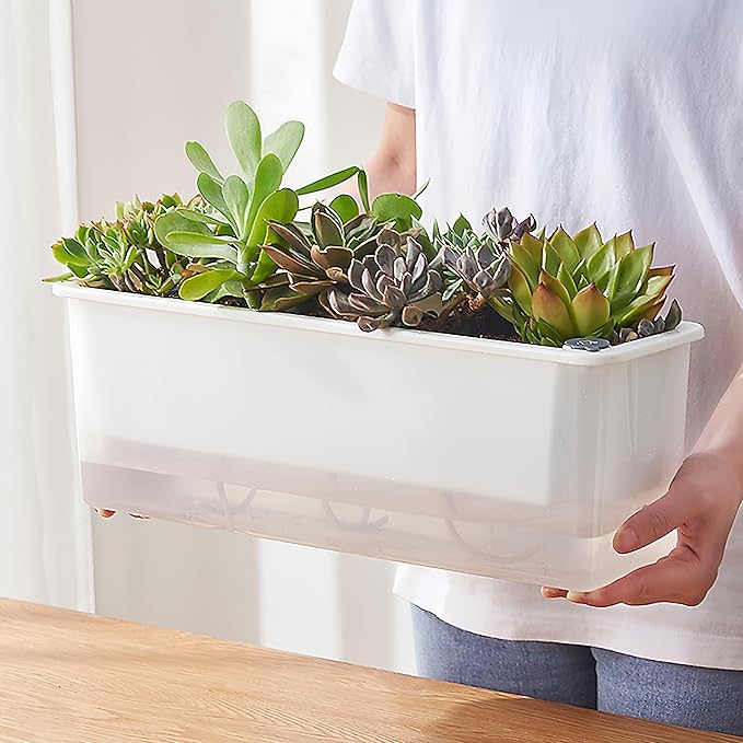 FAMZ Self Watering Pots for Indoor Plants 3 Pack Transparent Rectangular - Image 5