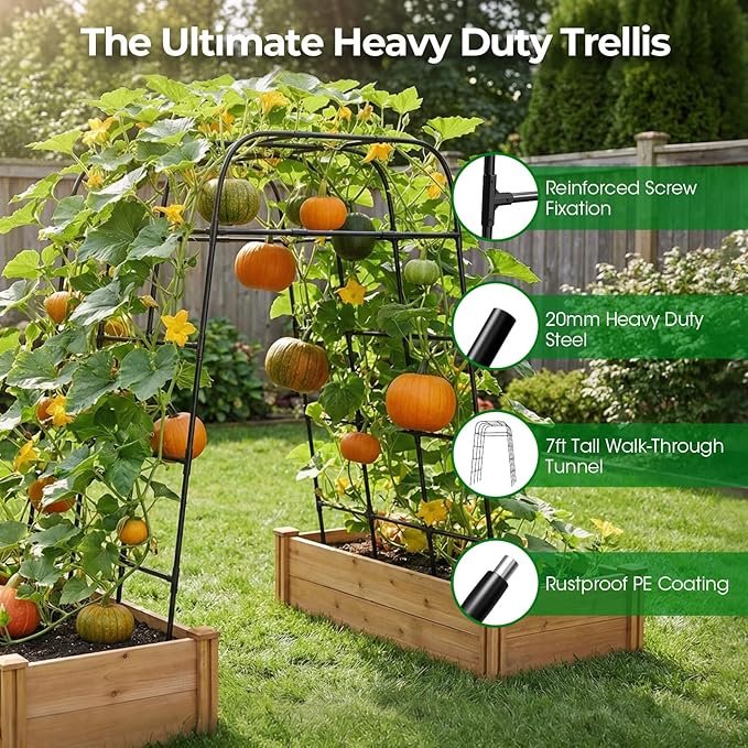 Garden Arch Trellis for Climbing Plants, Metal Cucumber & Tomato Cage, - Image 3