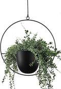 Hanging Planter for Indoor Outdoor Plants Metal Mid Century Minimalist Wall by ABETREE