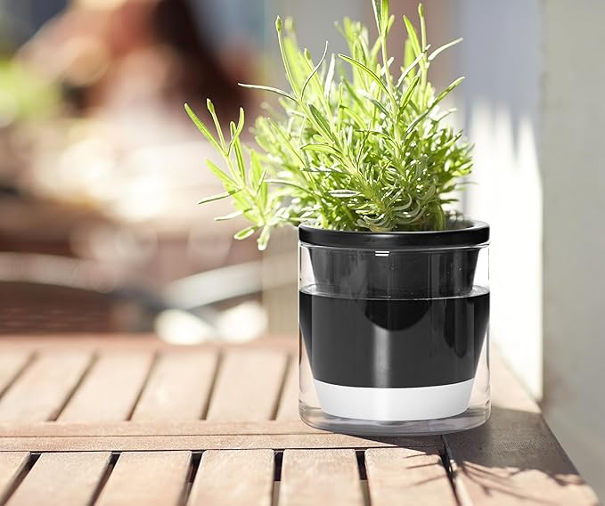 D'vine Dev 4 Inch Design Self Watering Planter - Image 7