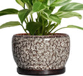 SQOWL Ceramic Planter by SQOWL