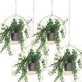 Geelin 4 Pack Plant Hanger by Geelin