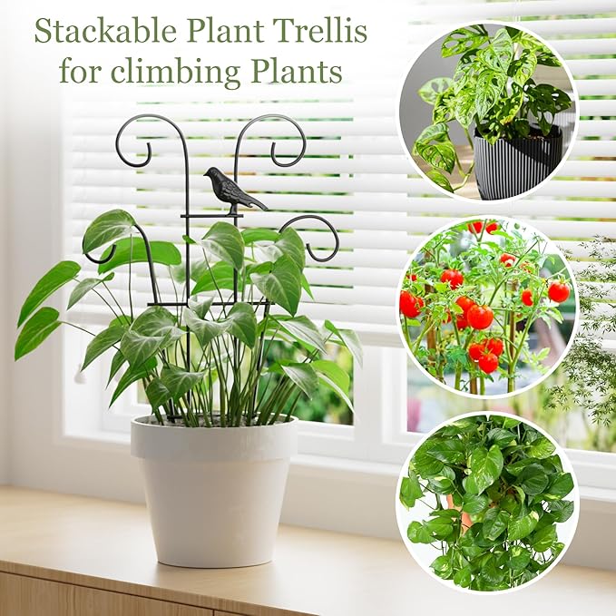 Indoor Plant Trellis for Climbing Plants, Stackable Garden Trellis for Potted - Image 5