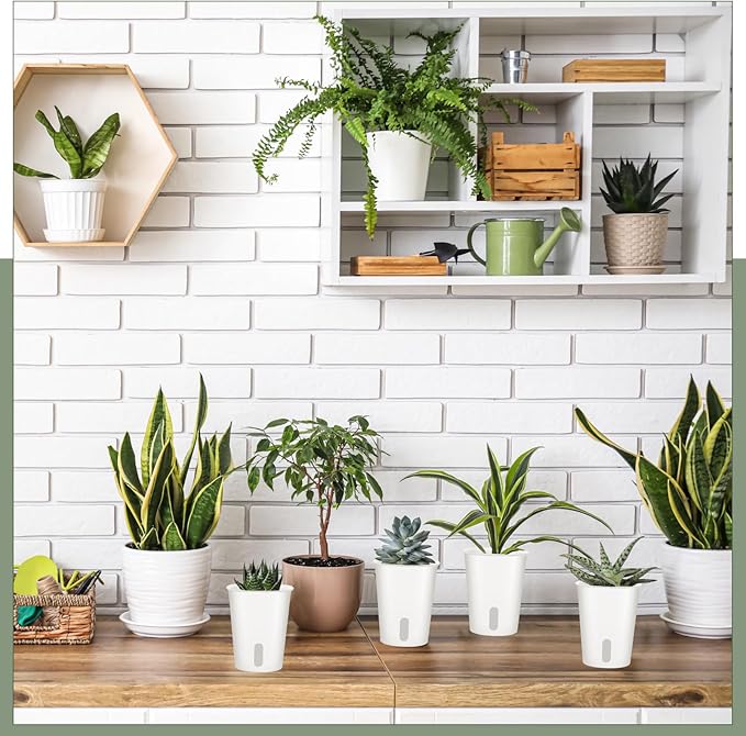 10 Pcs 3 Inch Self Watering Pots Self Watering Planters - Image 6