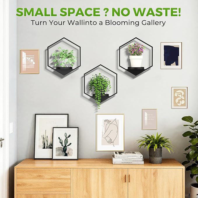 Wall Planters for Indoor Plants, Plant Frames Wall Decor Living Room Plant - Image 6