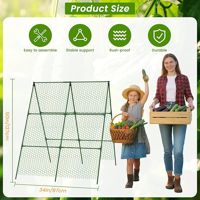 Cucumber Trellis, Foldable Trellis Cucumber - Image 2