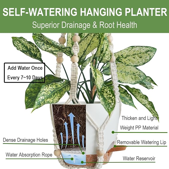 Set of 3 Hanging Planters for Indoor Plants - Image 3