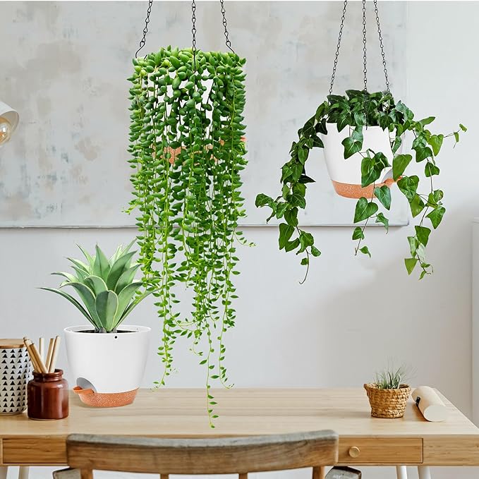 GARDIFE hanging planter, 8 inch hanging planters - Image 6