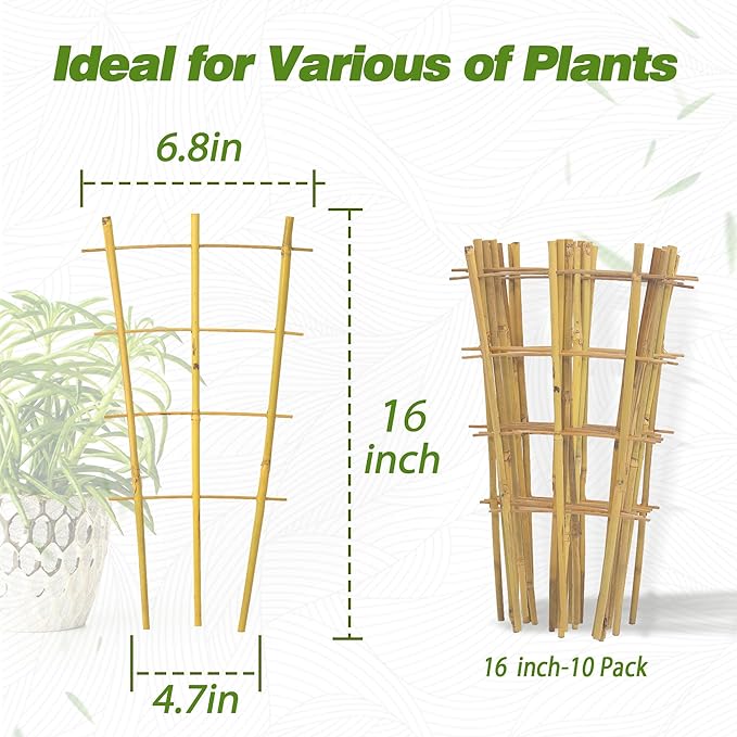 Avalution 10 Pack Bamboo Trellis - Image 3