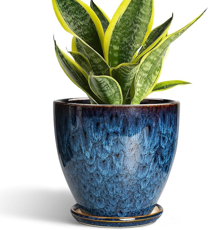 6 Inch Plant Pot by EPFamily