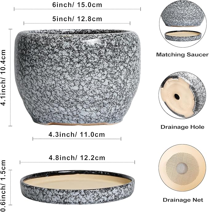SQOWL Ceramic Pot for Plants - Image 3