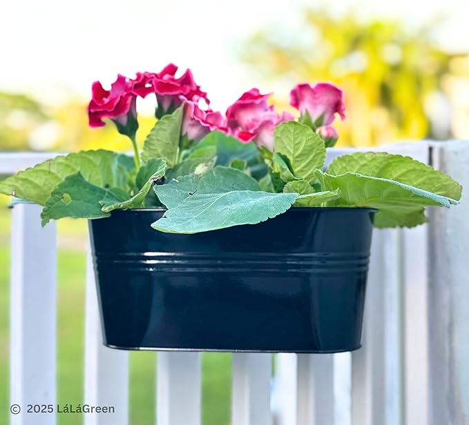 LaLaGreen Rail Planter Outdoor Plants Black Metal Iron Hanging Flower Pots Deck - Image 9