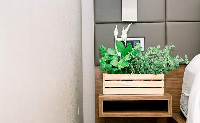 Wood Planter Box with Wine Crate Styled, 12x4 Inch Rectangular, Rose Wood - Image 5