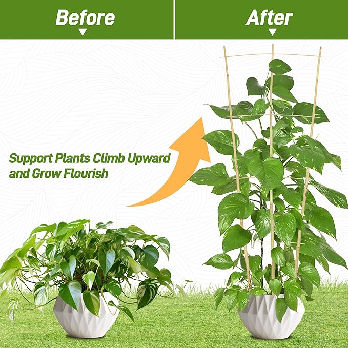 Avalution 10 Pack Bamboo Trellis - Image 4