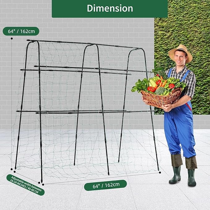 Lalahoni Cucumber Trellis, 5.3x5.3 Feet Metal Garden Arch Plant Support - Image 2
