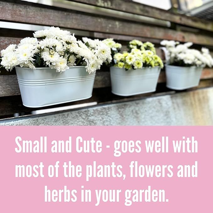LaLaGreen Planter Boxes Outdoor White Metal Iron Hanging Flower Pots Deck - Image 4