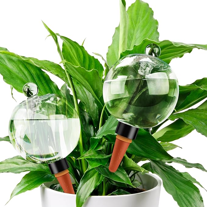 19 oz Extra Large Plant Self Watering Globes Top Fill, Plastic Water Bulbs by SoilaguaDirect