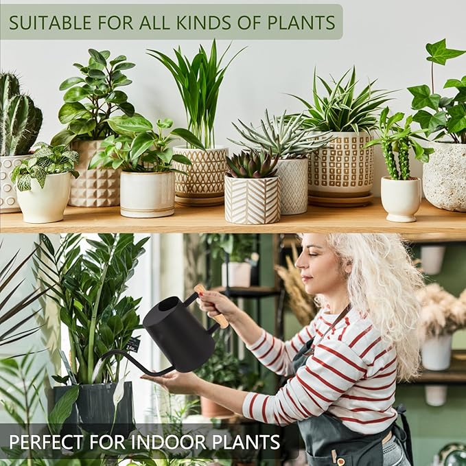 Plant Watering Can, 35oz Metal Watering Can, Stainless Steel Indoor Plants - Image 4