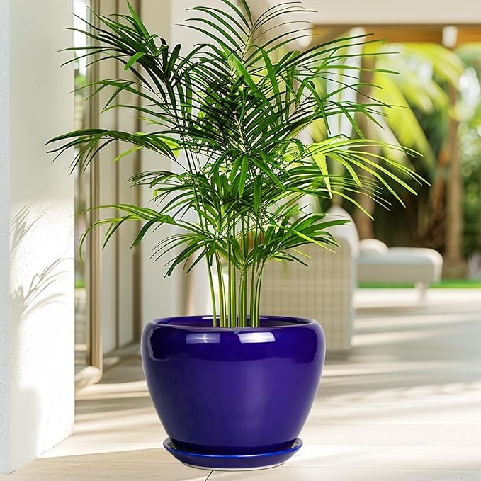 Ceramic Plant Pot 8 Inch - Image 5